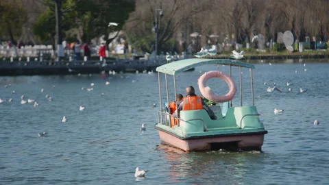 Boating in the lake Stock Footage 233881480