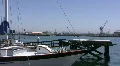 Boating Marina HD Footage