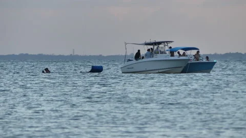 Boating Miami Stock Footage 219977512