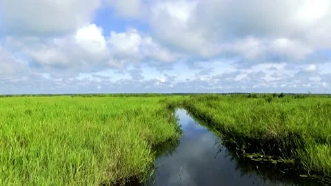Boating in the middle of vast peatlands Stock Footage 248036738