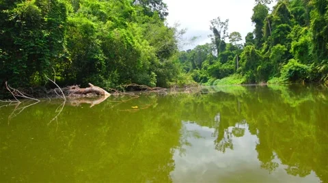 Boating Nature in tropical forests. Видео 50236432