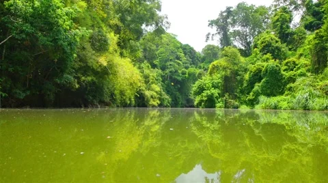 Boating Nature in tropical forests. Stock Footage 50236847