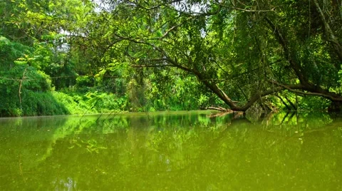 Boating Nature in tropical forests. 库存影片 50269110