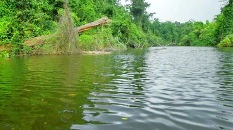 Boating Nature in tropical forests. 스톡 동영상 50454395