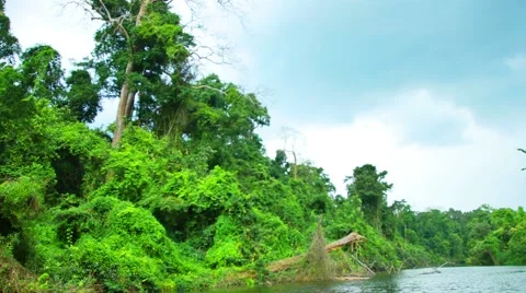 Boating Nature in tropical forests. Stock Footage 50527430