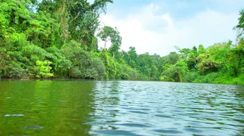 Boating Nature in tropical forests. Stock Footage 50527460