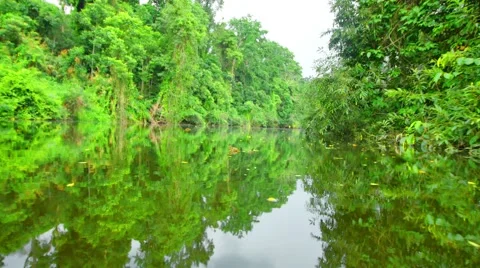Boating Nature in tropical forests. Stock Footage 50591248