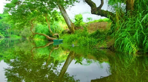 Boating Nature in tropical forests. Stock Footage 50592181