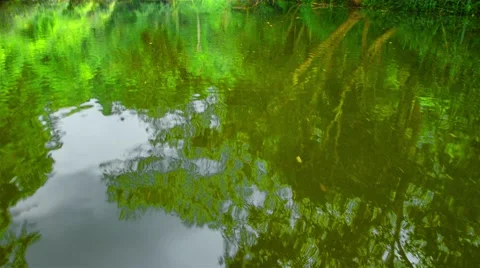 Boating Nature in tropical forests. Stock Footage 50634600
