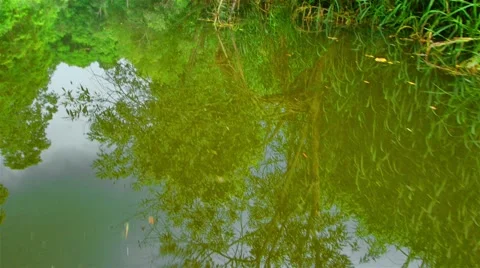 Boating Nature in tropical forests. Stock Footage 50634644