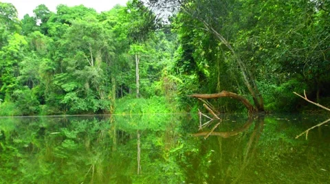 Boating Nature in tropical forests. Stock Footage 50634804