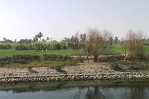 Boating the Nile Vídeo Stock 573847