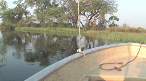 Boating in the Okavango Delta Vídeo Stock 907244