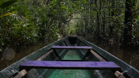 Boating in the rainforest of Peru 스톡 동영상 103044030