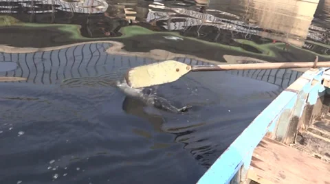 Boating in a river 스톡 동영상 32865096