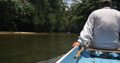 Boating up a river Stock Footage 88071121