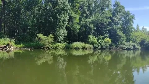 Boating on the river Stock Footage 247390240