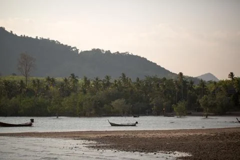Boating on the river in jungle Stock Photos