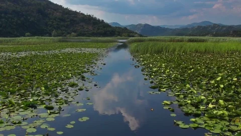 Boating on Skadar lake Stock Footage 77006914