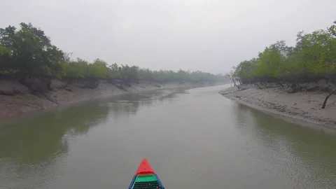 Boating through the forests in Sundarbans, West Bengal Stock Footage 153316189