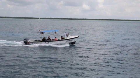 Boating in Tropical Waters Video stock 88967472