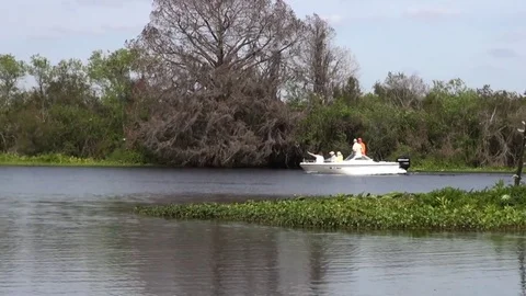 Boating on the Withlacoochee River, Florida Video stock 73154476