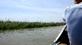 Boatman HD Footage