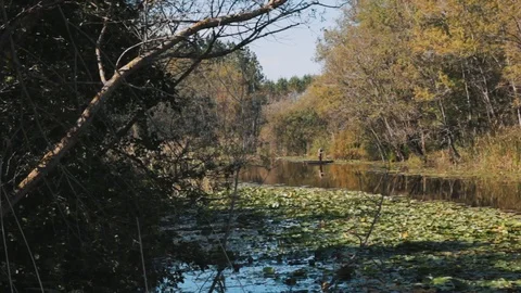 THE BOATMAN IN THE LAKE Video stock 110777196