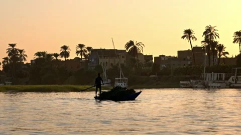 Boatman Rowing on the Nile at Sunset Stock Footage 338041371