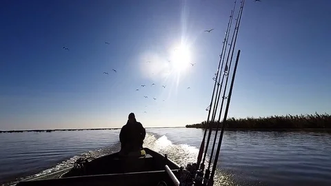 The boatman sails with the seagulls Stock Footage 89587252