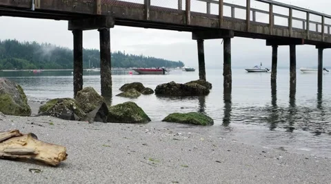 Boats and Pier Stock Footage 54094860