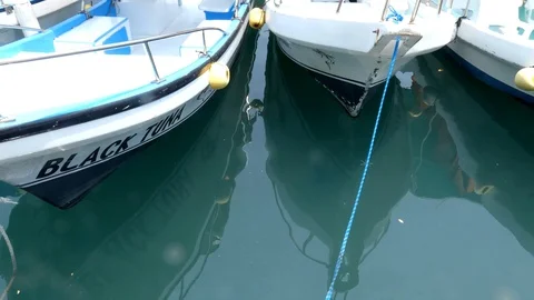 Boats attached at the dock Stock-Footage 107941061