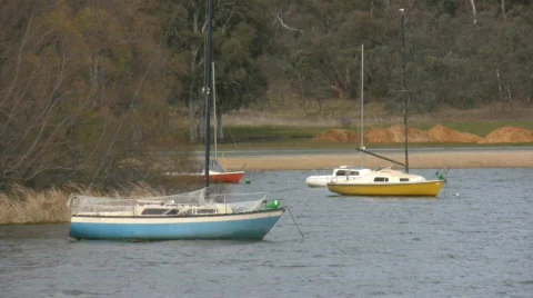Boats in the bay Video stock 521948