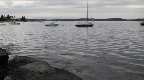 Boats at bay 스톡 동영상 48370207