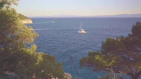 Boats in the Bay Stock Footage 168973741