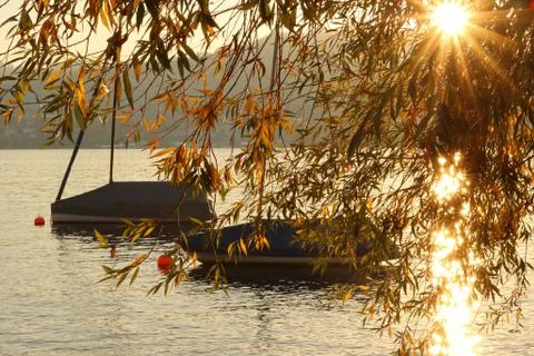 Boats behind the willow leaves at sunset Stock Photos