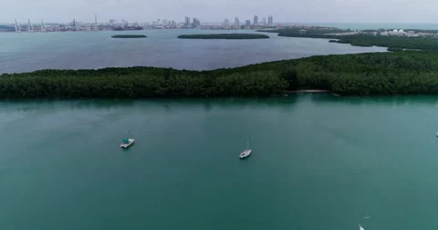 Boats on Biscayne Bay Stock Footage 149100585
