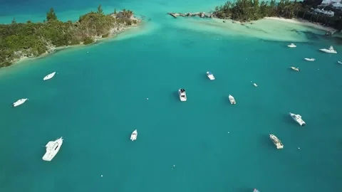 Boats in the cove Stock Footage 210230149