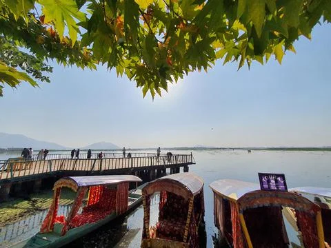 Boats in dal Stock Photos