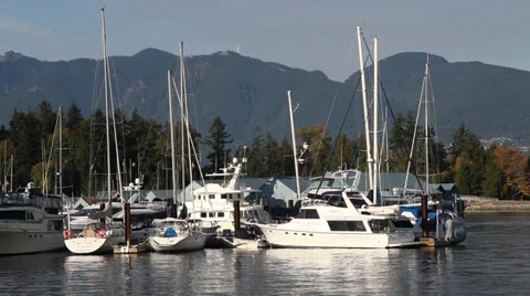 Boats at the dock 01 Stock Footage 30115767