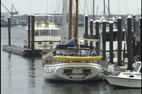Boats at Dock 1 Stock Footage 296855