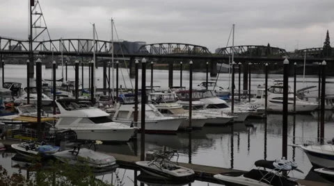 Boats at Dock with Bridge In Background Stock Footage 67192910