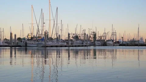 Boats at dock during sunset Stock Footage 191740698