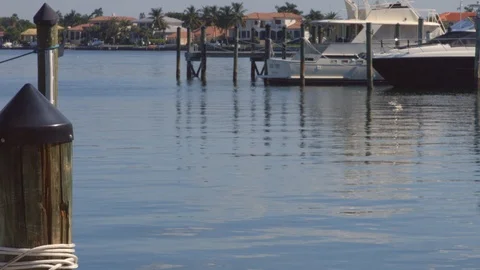 Boats at a dock in florida Stock Footage 97548435
