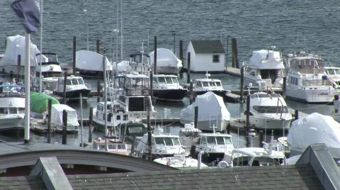 Boats At Dock 스톡 동영상 599393