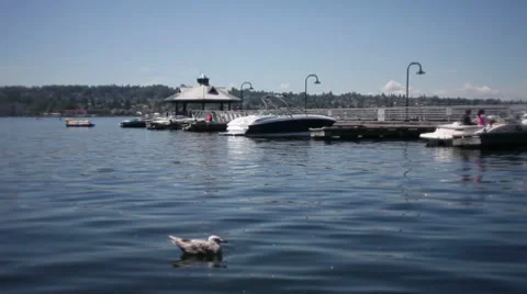Boats on a dock Stock Footage 7357222