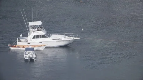 Boats at dock 스톡 동영상 84231278