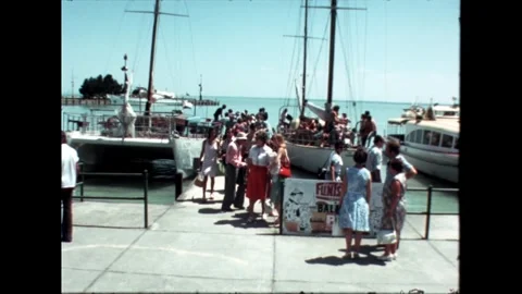 Boats at the Dock Stock Footage 278410095