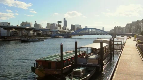 Boats at Dock Yard Stock Footage 60003391