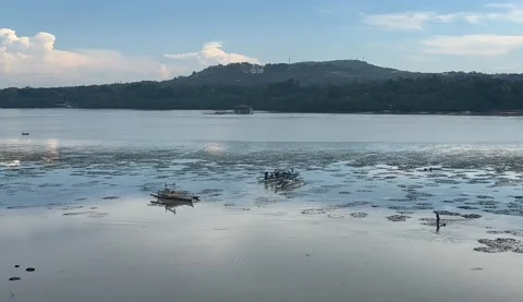 Boats docked during a low tide. Stock Footage 288087549